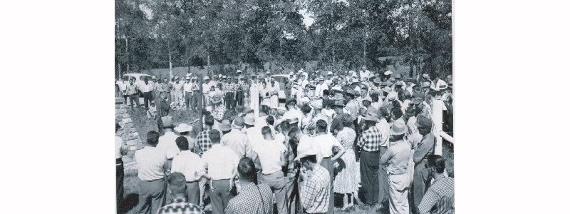 Pilihan raya umum pertama 1955