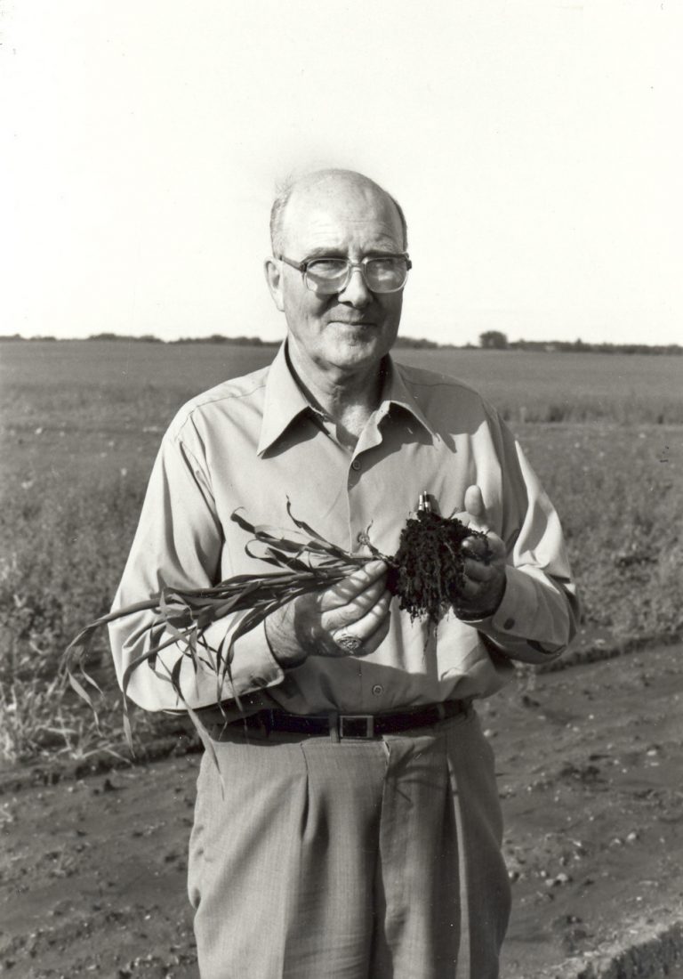 Dr. Fred Bentley The Breton Plots